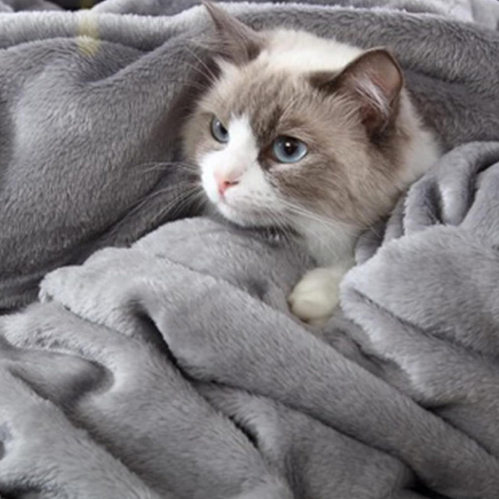 SIXLON Twin Grey Fleece Blanket, Soft Flannel Bed Blanket